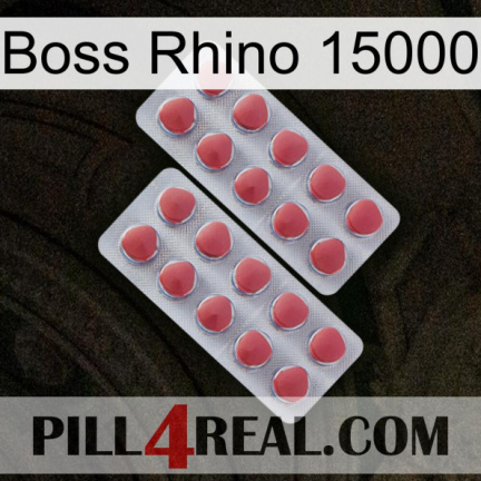 Boss Rhino 15000 19